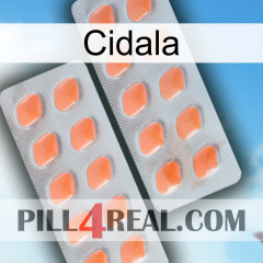 Cidala 27